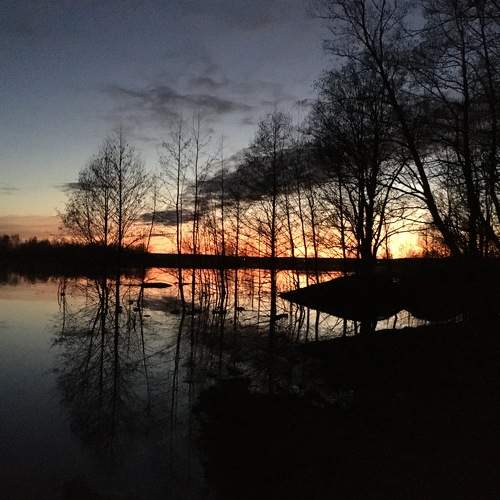 Photo #7651539
