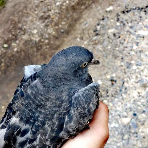 Photo #7651562