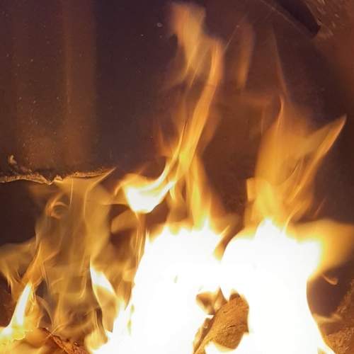Photo #7651996