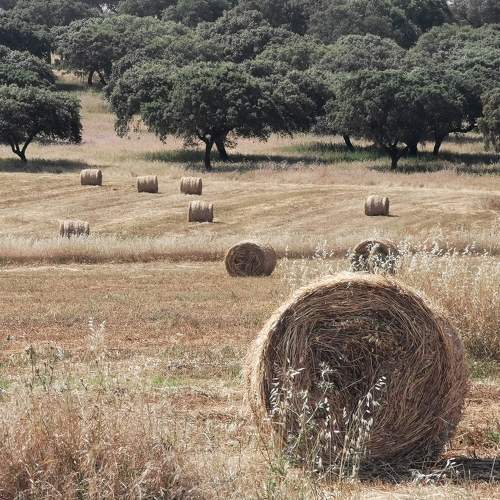 Photo #7652376