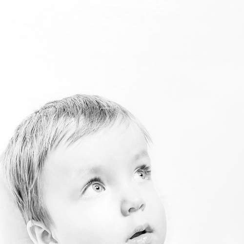 Photo #7652442
