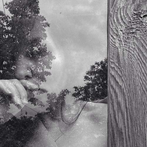 Photo #7652444