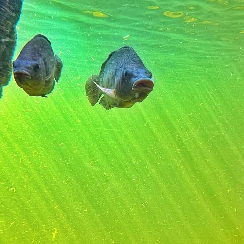 Photo #7652653