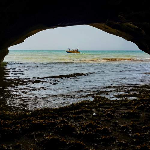 Photo #7652679