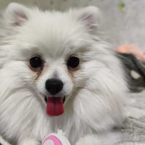 Photo #7652782