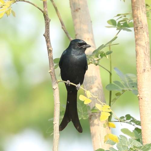 Photo #7652852