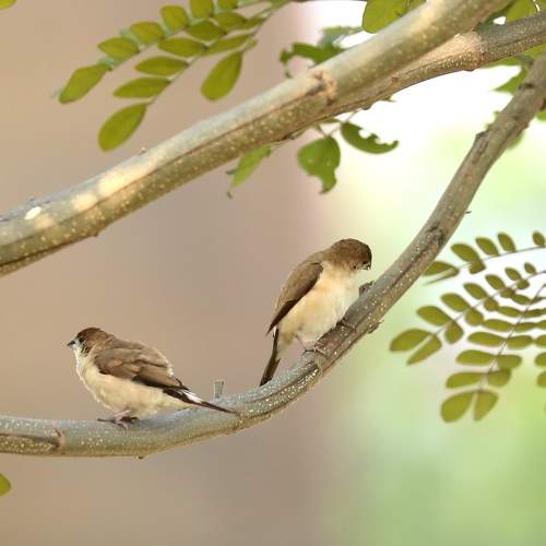 Photo #7652863
