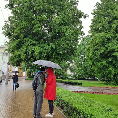 Photo #7652979