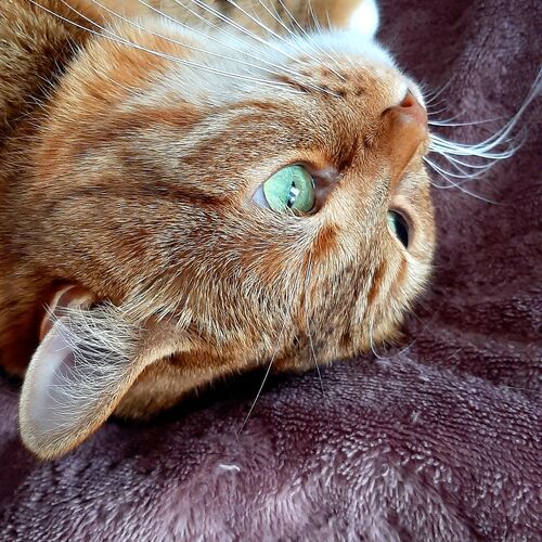 Photo #7652998