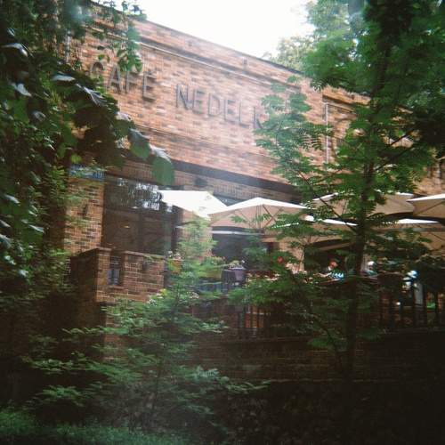 Photo #7653018