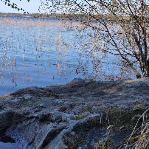 Photo #7653108