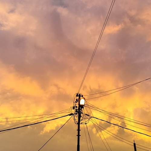 Photo #7653249