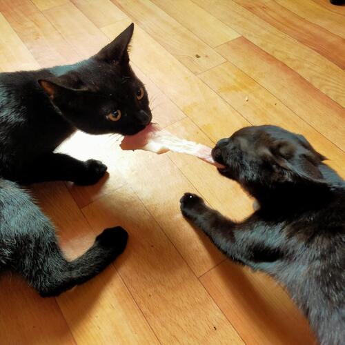 Photo #7653277