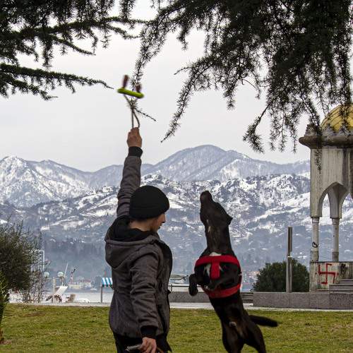 Photo #7653493