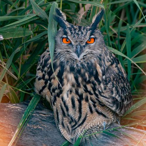 Photo #7653624