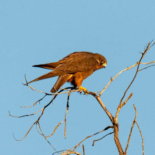 Photo #7653629