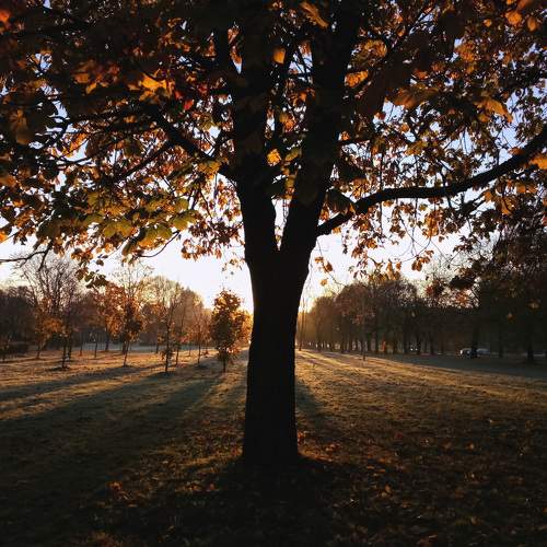Photo #7653914