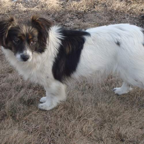 Photo #7654044