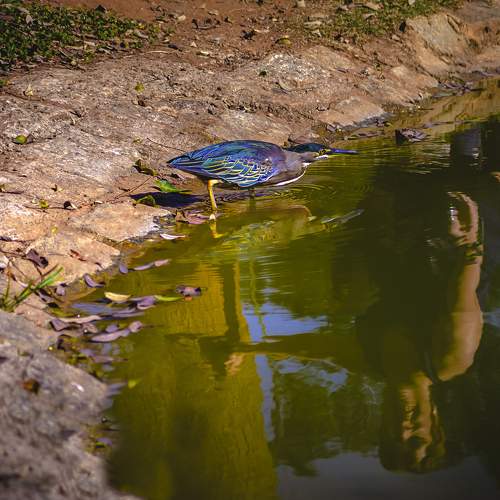 Photo #7654176