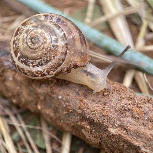 Photo #7654318