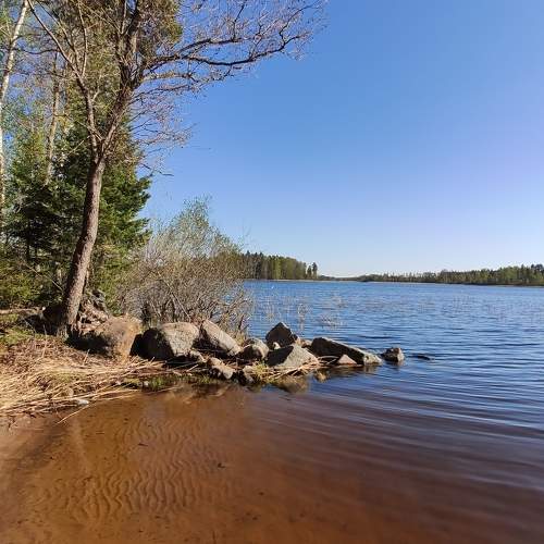 Photo #7654466