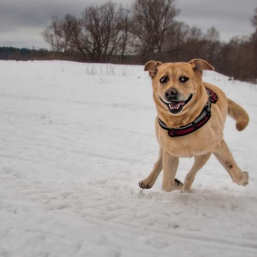 Photo #7654483