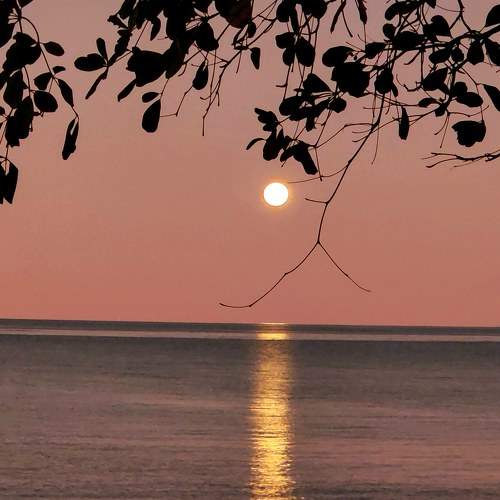 Photo #7654548