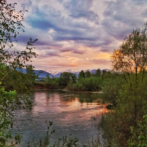 Photo #7654598