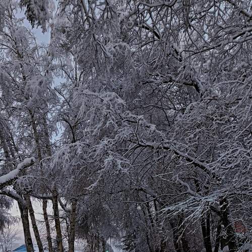 Photo #7654600