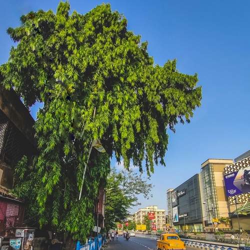 Photo #7654852