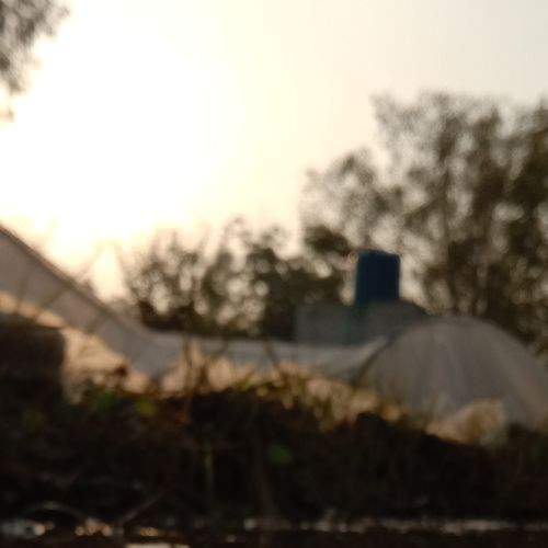 Photo #7654904