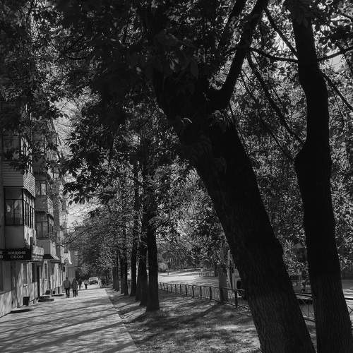 Photo #7655068