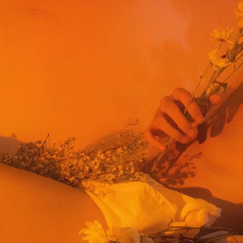 Photo #7655221