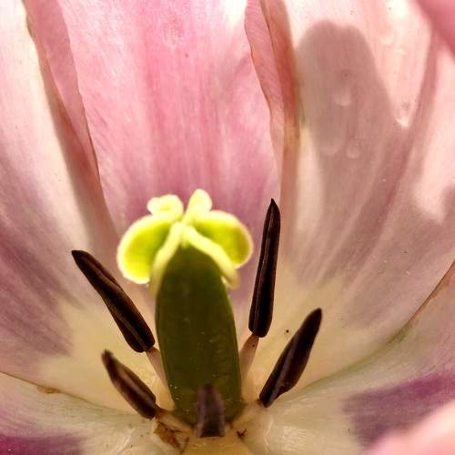 Photo #7655520