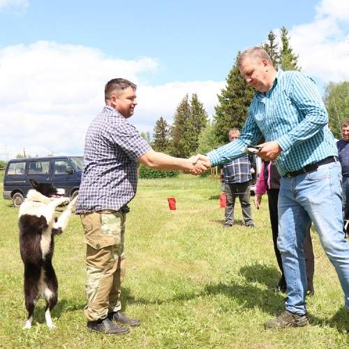 Photo #7655659