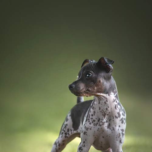 Photo #7655753