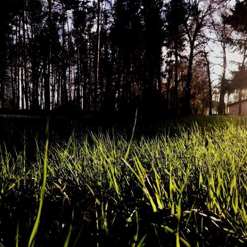 Photo #7656192