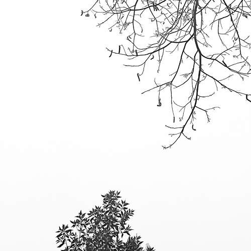 Photo #7656318