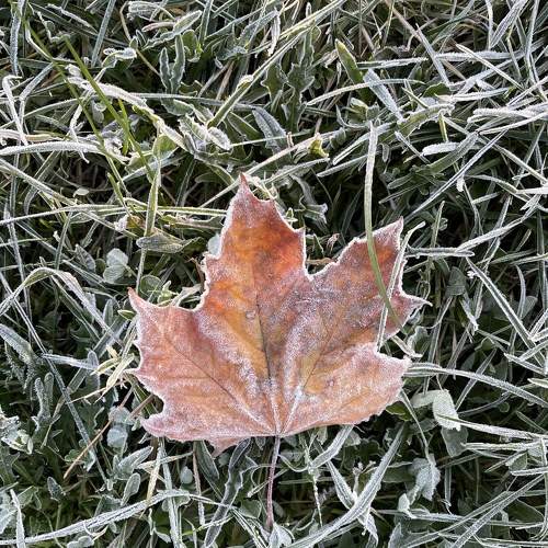 Photo #7656377