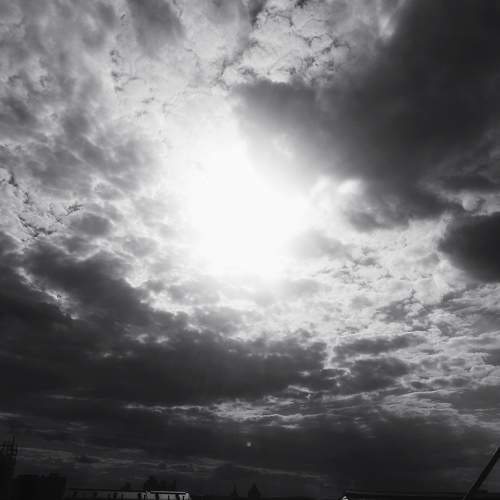 Photo #7656613