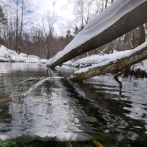 Photo #7656881