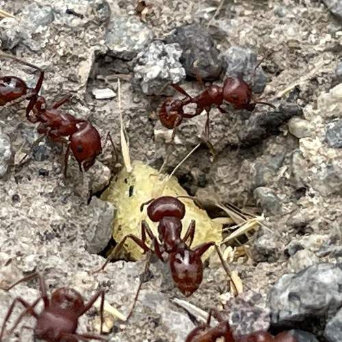 Photo #7657043