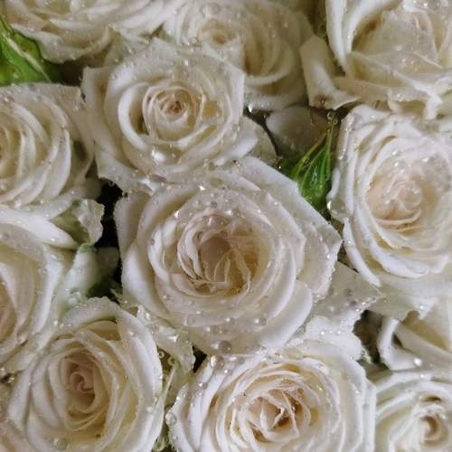 Photo #7657300