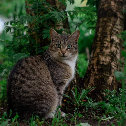 Photo #7657473