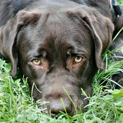 Photo #7657512
