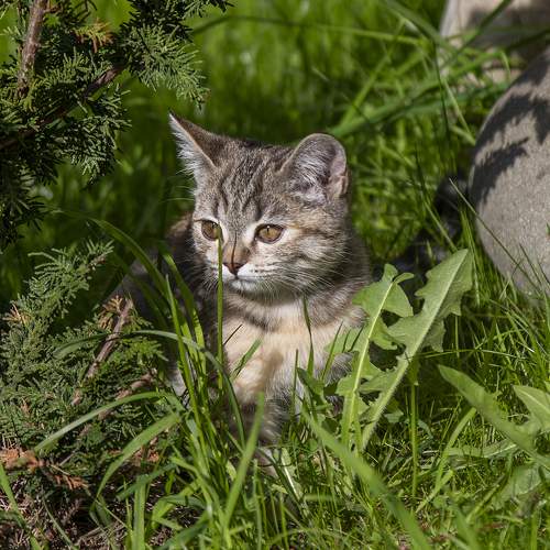 Photo #7657535