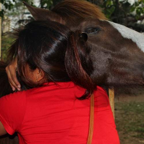 Photo #7657586