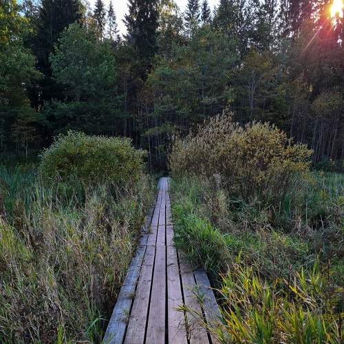 Photo #7657832