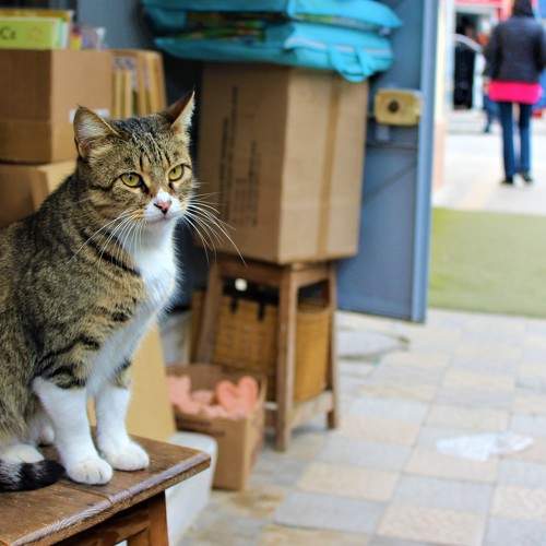 Photo #7657856