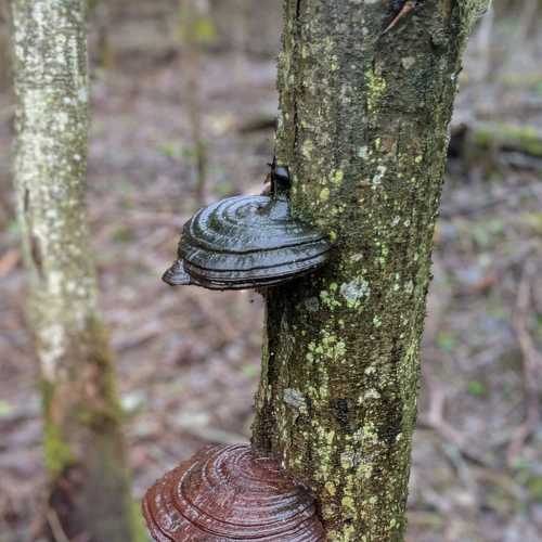 Photo #7658153